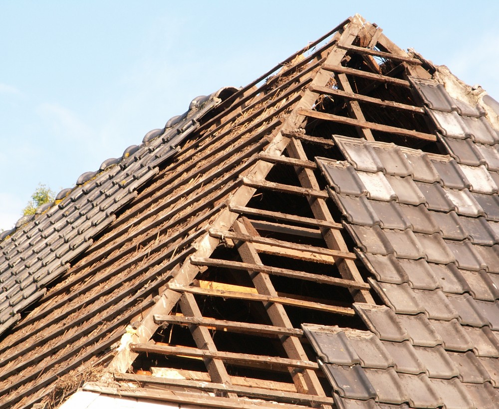 renovatie dak vlijmen 3 