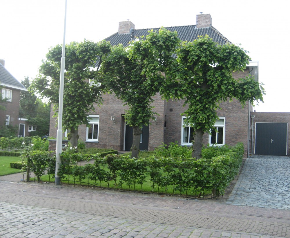 niewubouw haarsteeg 1